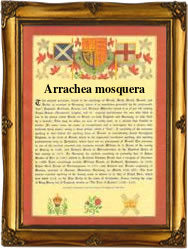 Surname Scroll